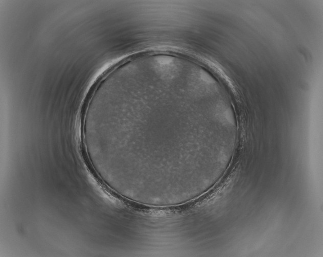 X0000111201032200907221125