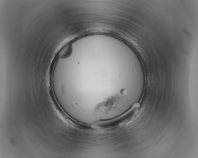 X0000111201034200907221125