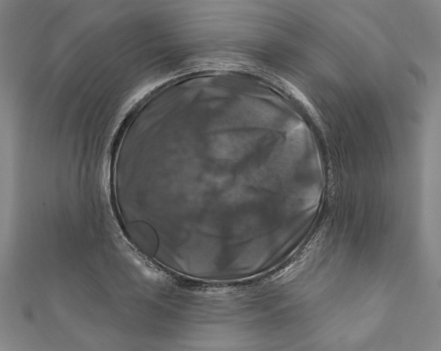 X0000111201035200907221126