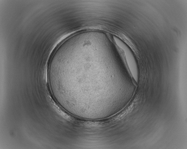 X0000111201036200907221126