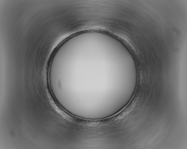 X0000111201038200907221126