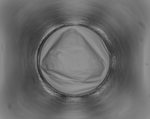 X0000111201039200907221126