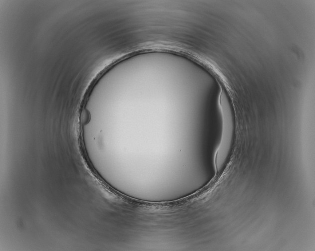 X0000111201040200907221126