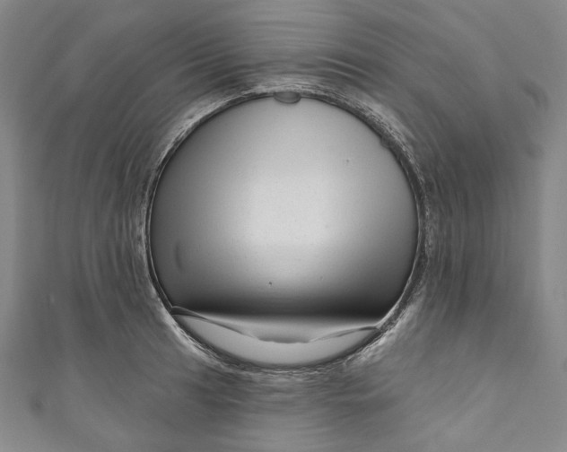 X0000111201041200907221126