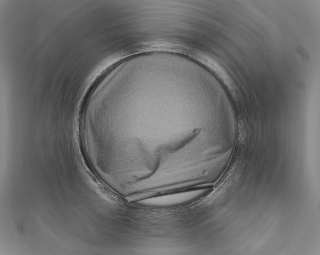 X0000111201043200907221126