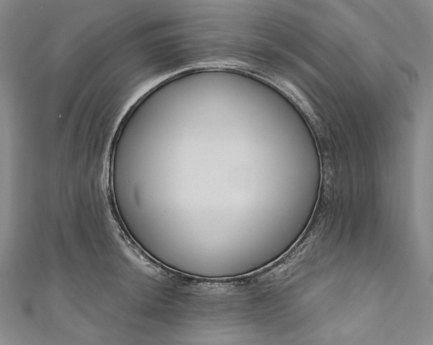 X0000111201044200907221126