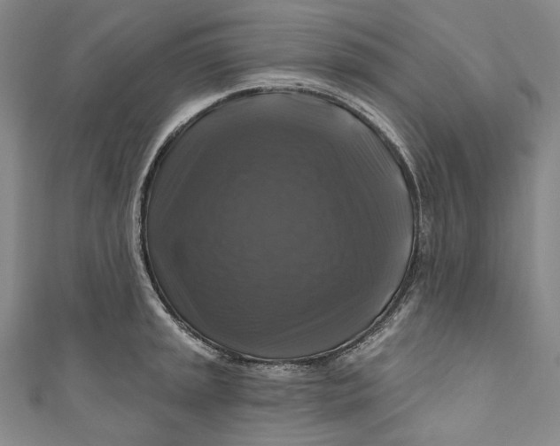 X0000111201045200907221126