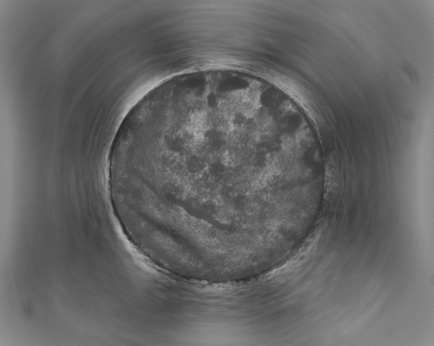 X0000111201047200907221126