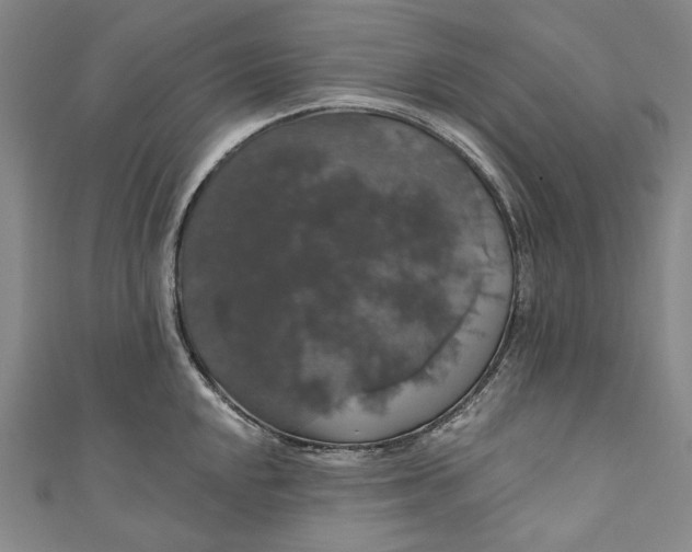 X0000111201048200907221126