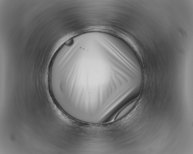 X0000111201050200907221126