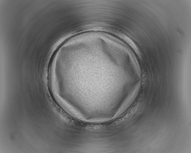 X0000111201051200907221126