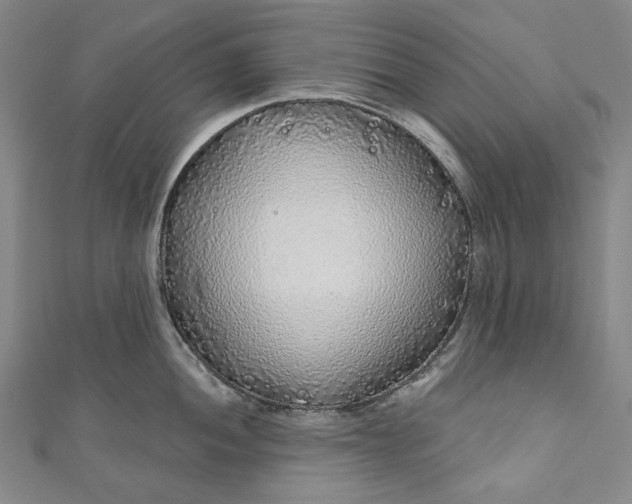 X0000111201052200907221126