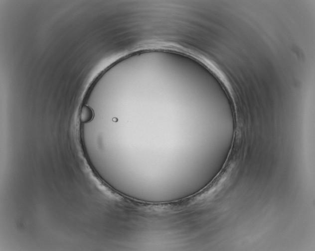 X0000111201053200907221126