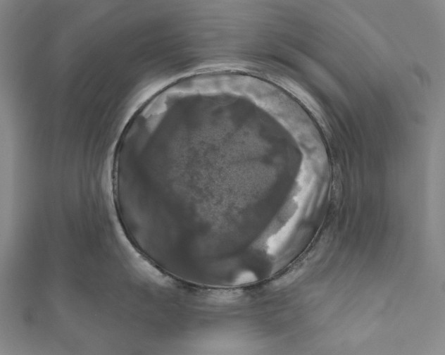 X0000111201055200907221126