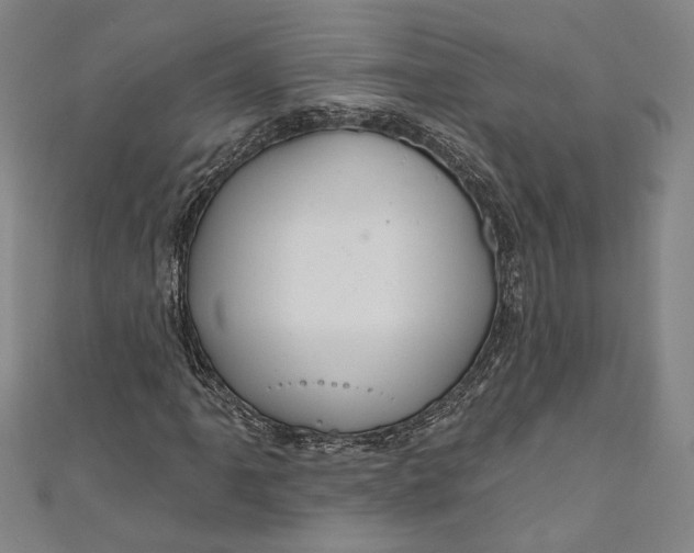 X0000111201061200907221125