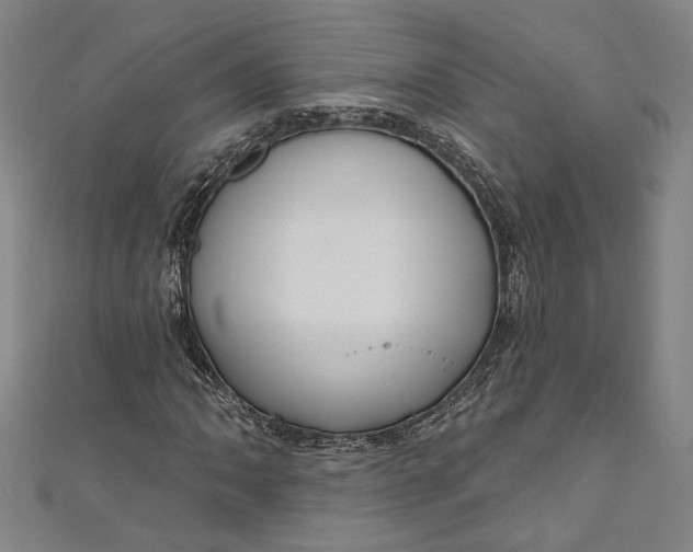 X0000111201062200907221125