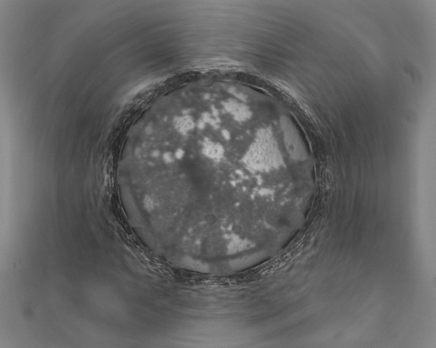 X0000111201063200907221125