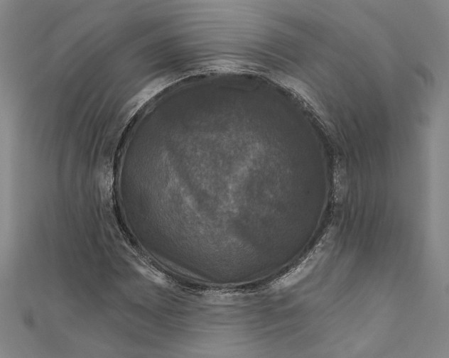 X0000111201065200907221125