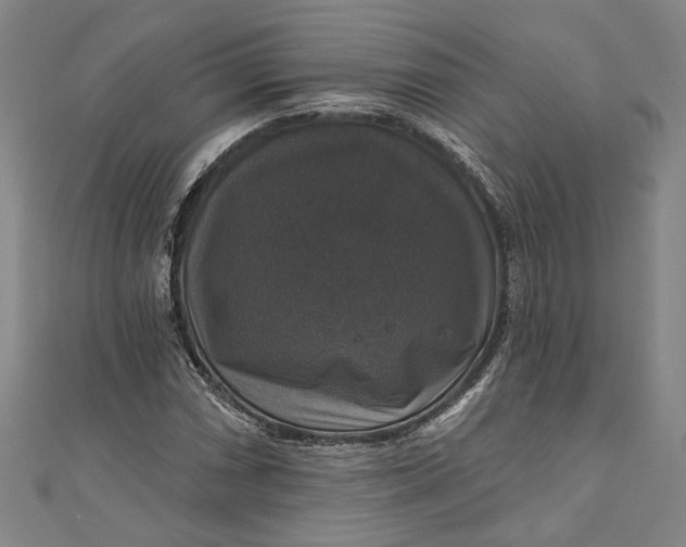 X0000111201066200907221125