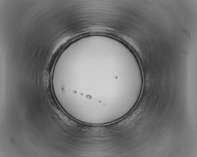 X0000111201067200907221125