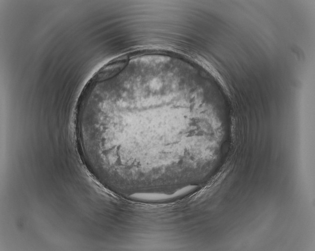 X0000111201068200907221125