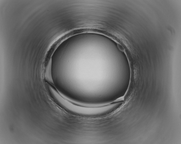 X0000111201069200907221125