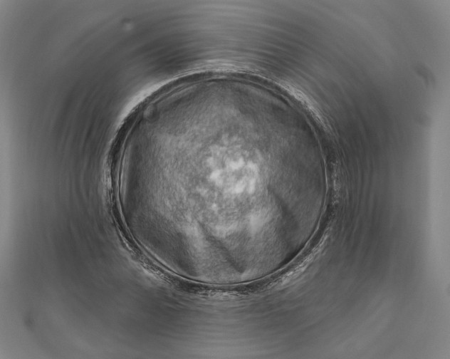 X0000111201070200907221125