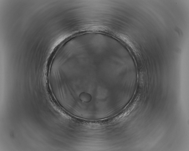 X0000111201071200907221125