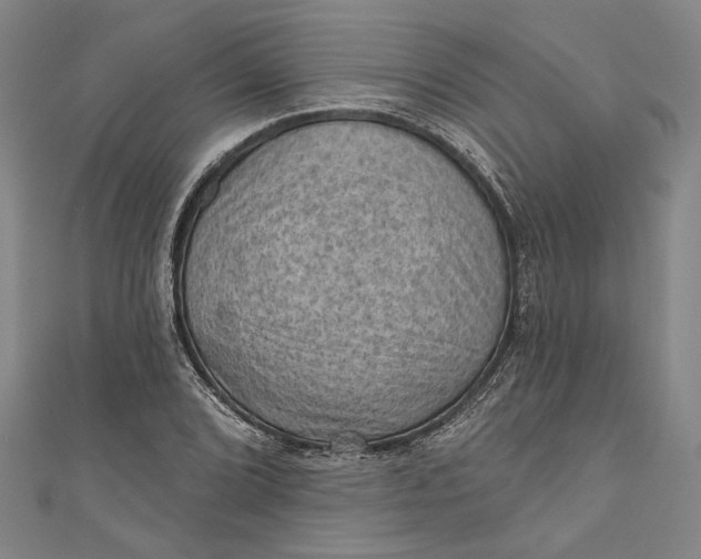 X0000111201072200907221125