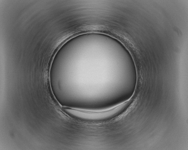 X0000111201073200907221125