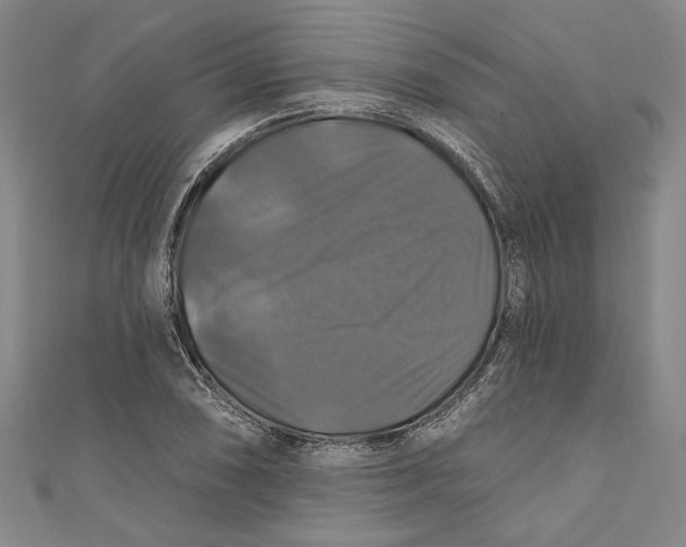 X0000111201074200907221125