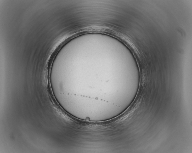 X0000111201075200907221125