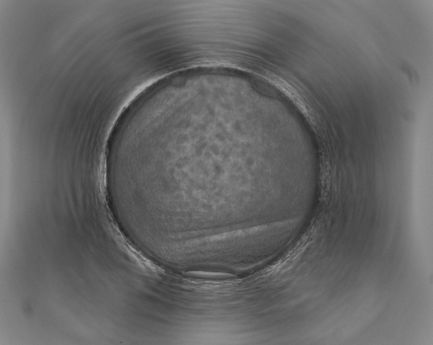 X0000111201076200907221125