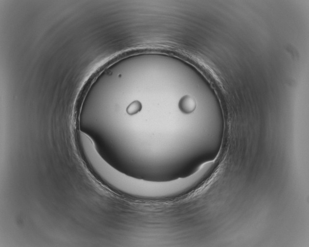 X0000111201077200907221125