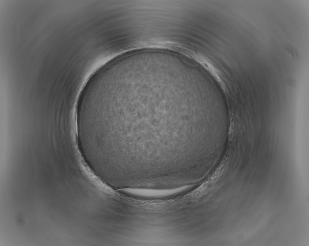 X0000111201080200907221125