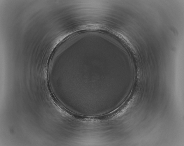 X0000111201081200907221125