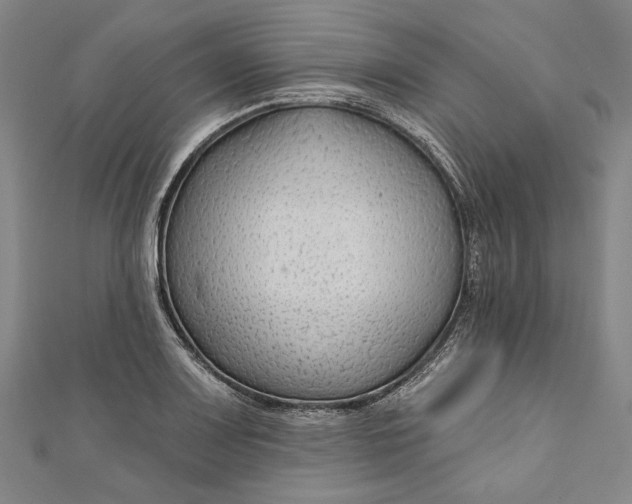 X0000111201083200907221125