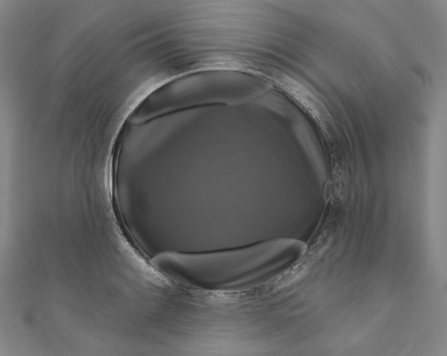 X0000111201084200907221125