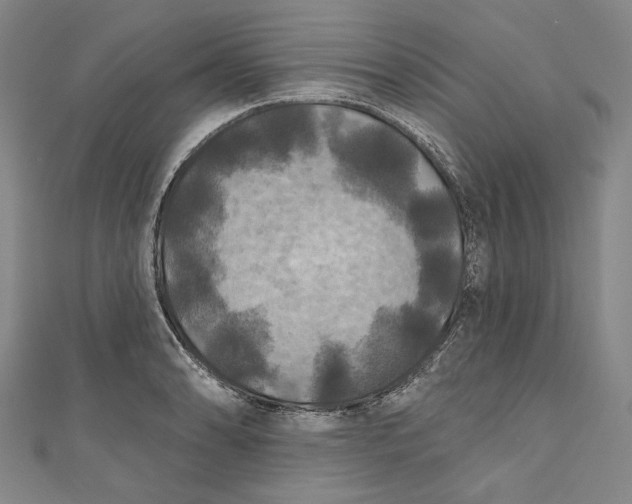 X0000111201086200907221125