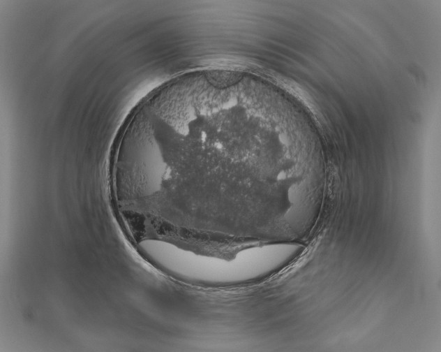 X0000111201087200907221125