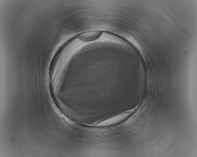 X0000111201088200907221125