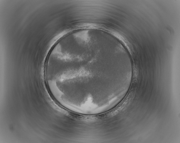 X0000111201090200907221125