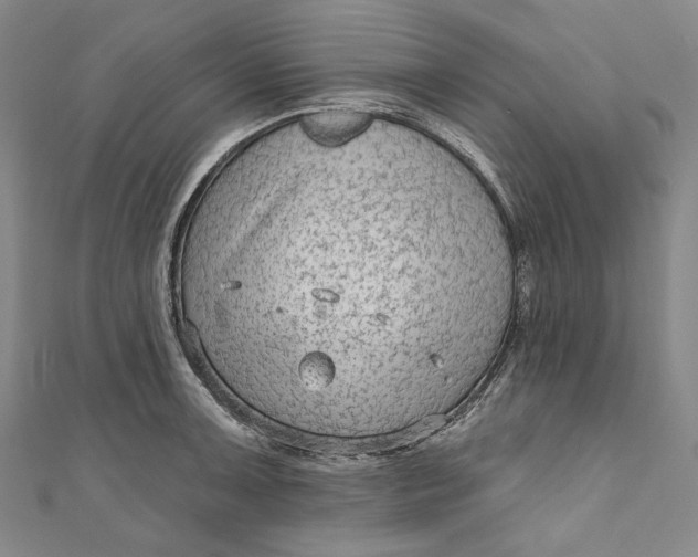 X0000111201091200907221125