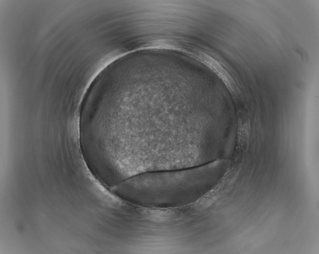 X0000111201092200907221125