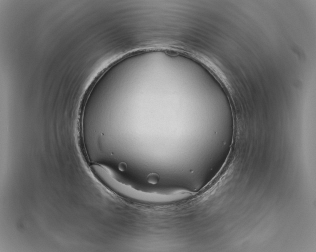 X0000111201093200907221125