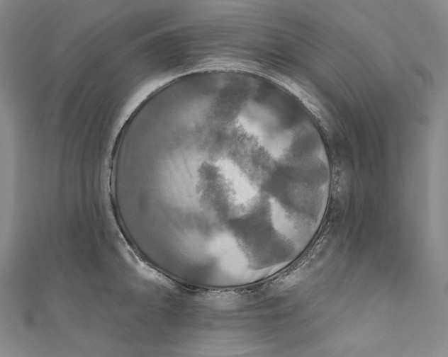 X0000111201094200907221125