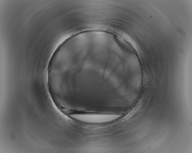 X0000111201095200907221125