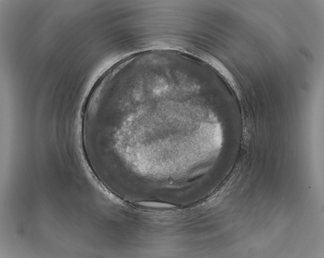 X0000111201096200907221125