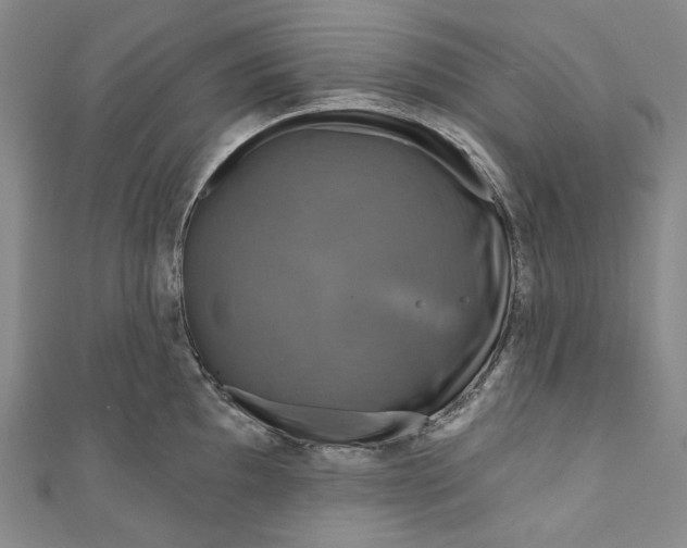 X0000111201097200907221125