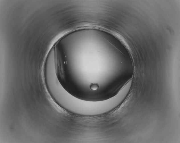 X0000111201098200907221125